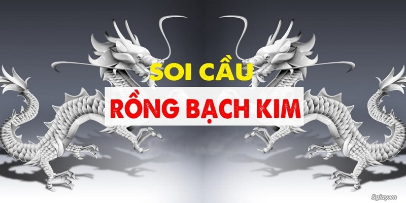 rồng bach kim